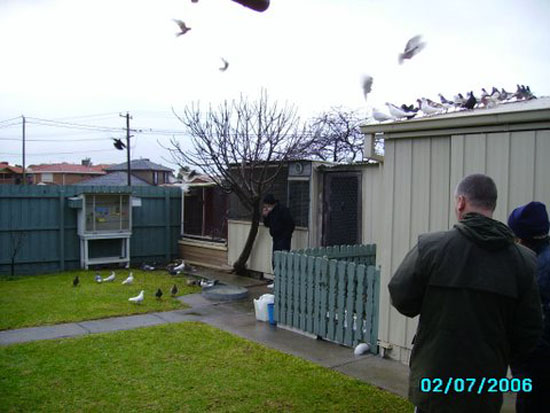 Demir'sbirdslanding